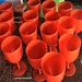 القالب الزجاجي الشمبانيا ، القالب الزجاجي الشمبانيا ، زجاج الشمبانيا